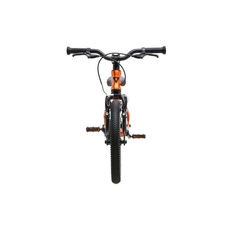 RASCAL 16 Titan – Image 2