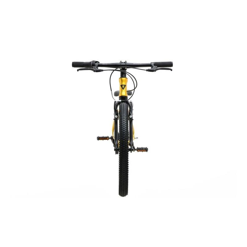 RASCAL 20 3speed Titan – Image 2