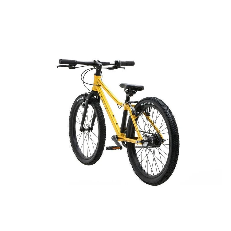 RASCAL 20 3speed Titan – Image 3