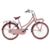 Vélo Enfant Nogan Cargo - Filles - 24 Pouces - Rose Flamingo